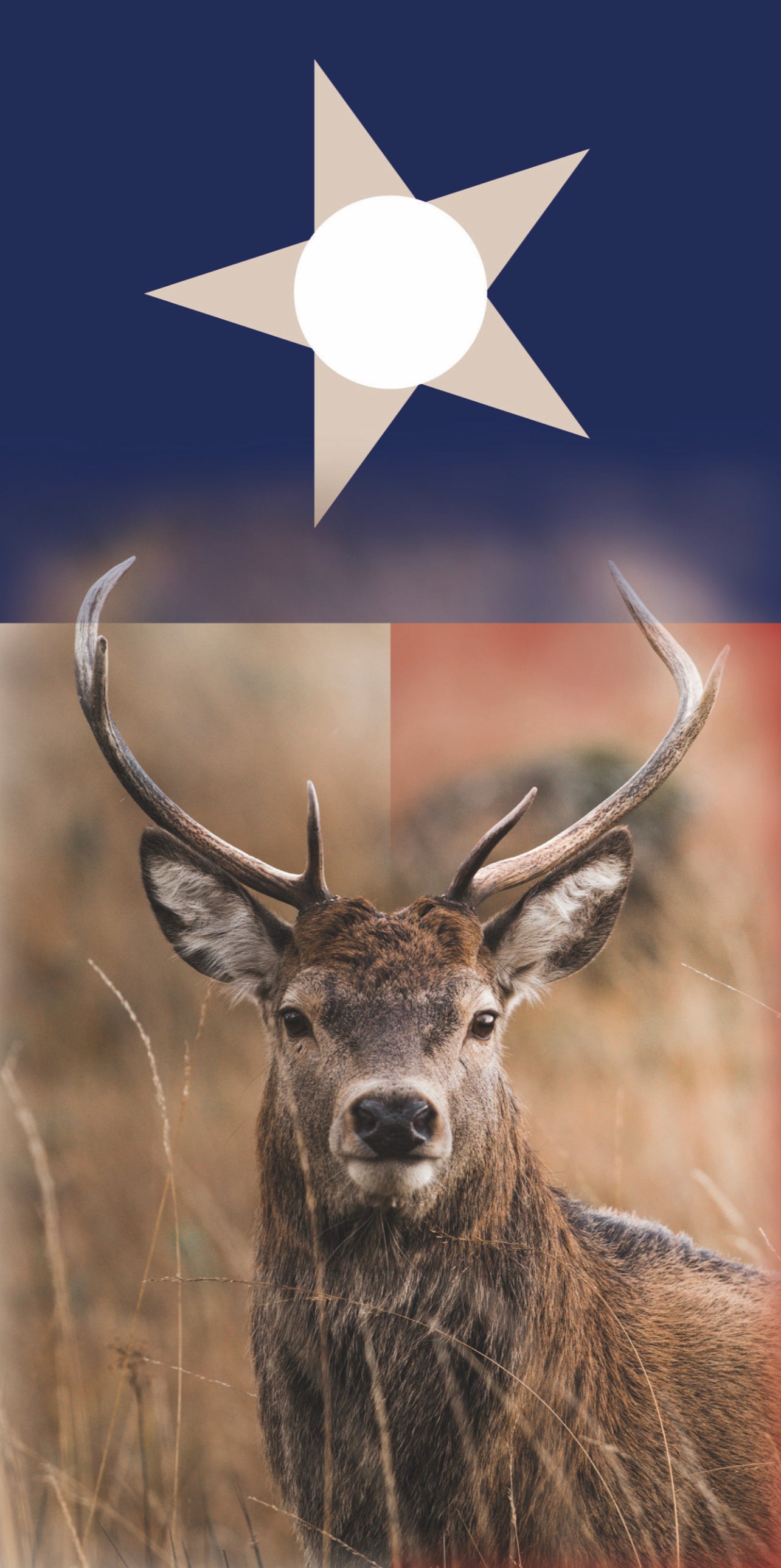 Deer - TX Flag